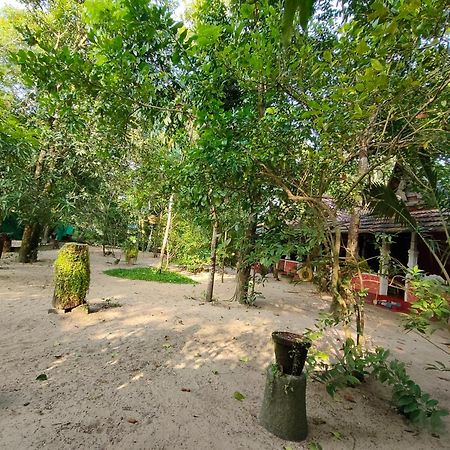 Abba Marari Beach Villas & Homestay Mararikulam Alappuzha Zewnętrze zdjęcie