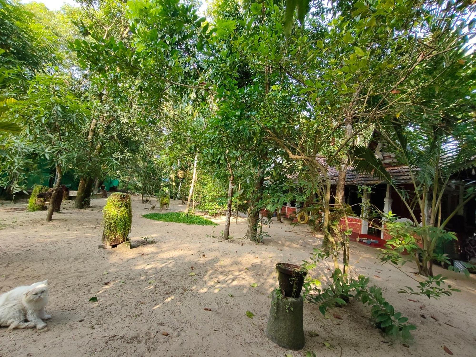 Abba Marari Beach Villas & Homestay Mararikulam Alappuzha Zewnętrze zdjęcie